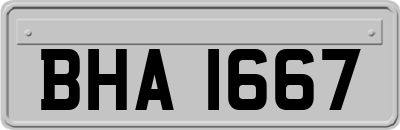 BHA1667