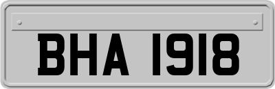 BHA1918