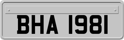 BHA1981