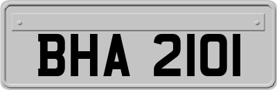 BHA2101