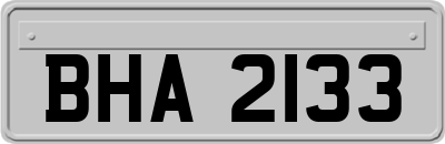 BHA2133