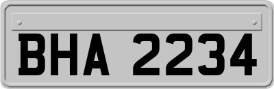 BHA2234