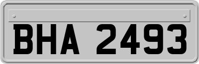 BHA2493