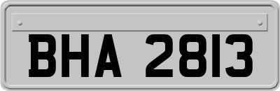 BHA2813