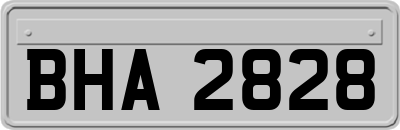 BHA2828
