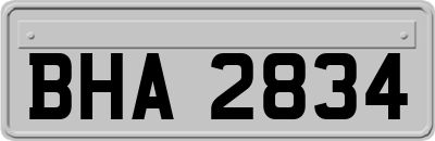 BHA2834