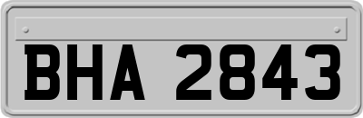 BHA2843