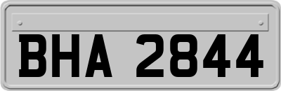 BHA2844