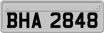BHA2848