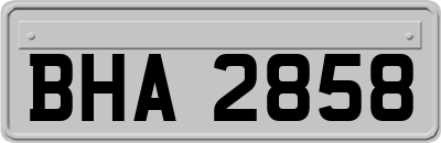 BHA2858