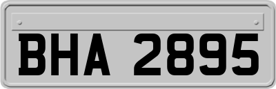 BHA2895