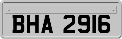 BHA2916