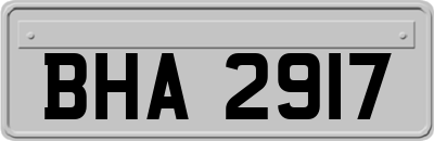 BHA2917
