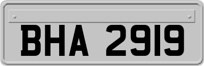 BHA2919