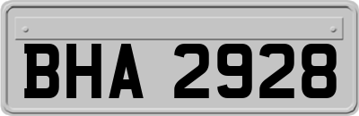 BHA2928
