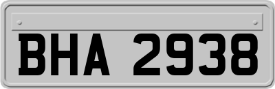 BHA2938