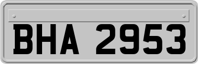 BHA2953