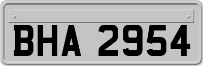 BHA2954