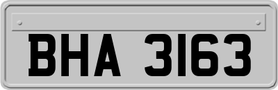 BHA3163