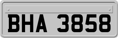 BHA3858