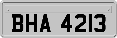 BHA4213