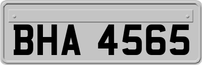 BHA4565