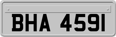 BHA4591