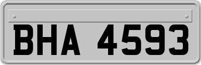 BHA4593
