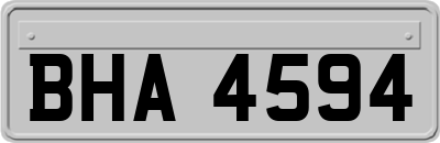 BHA4594