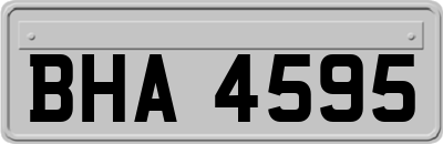 BHA4595