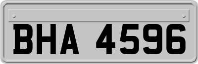 BHA4596