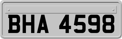BHA4598