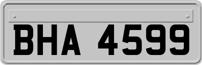 BHA4599