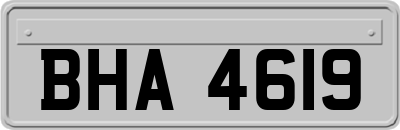 BHA4619
