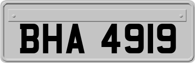 BHA4919
