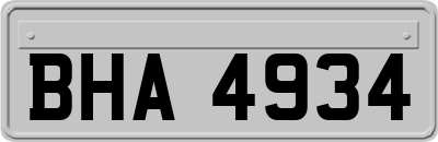 BHA4934