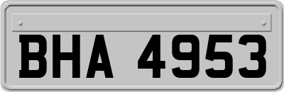 BHA4953