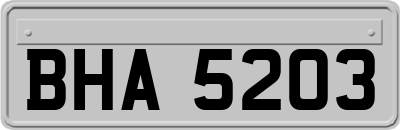 BHA5203