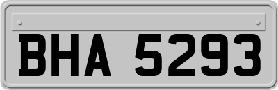 BHA5293