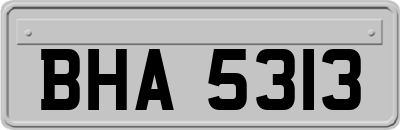 BHA5313