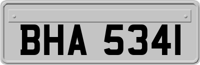 BHA5341