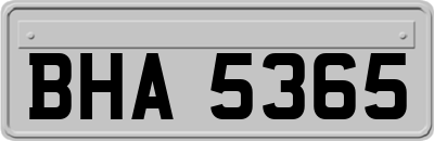 BHA5365
