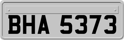 BHA5373