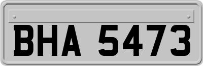 BHA5473