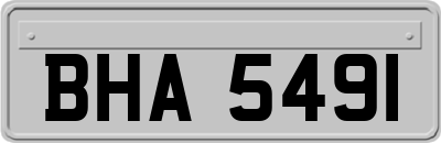 BHA5491