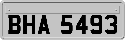BHA5493
