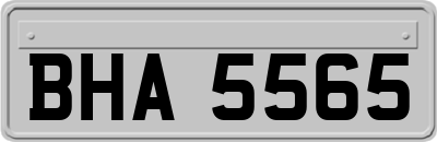 BHA5565