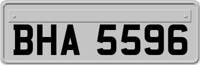 BHA5596