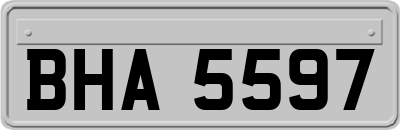 BHA5597