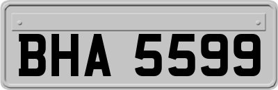 BHA5599